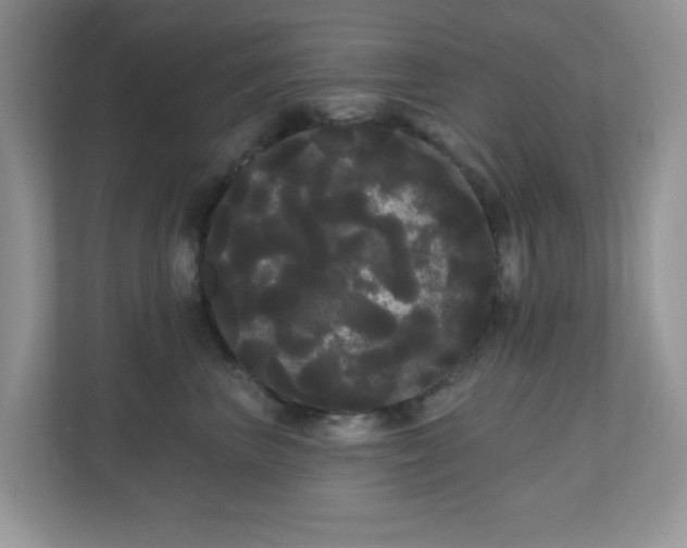 X0000111050667200907021621