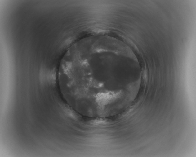 X0000111050668200907021621