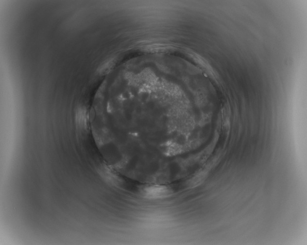 X0000111050669200907021621