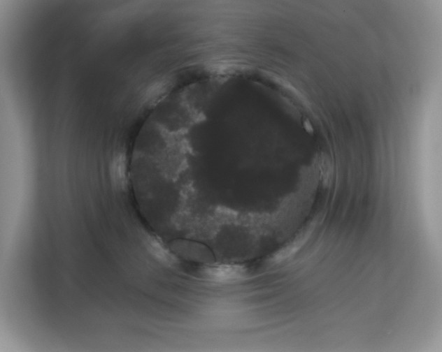 X0000111050670200907021621