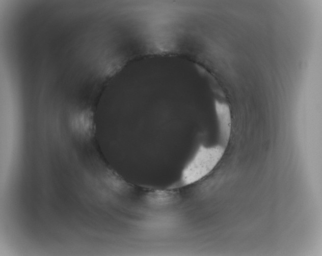 X0000111050672200907021621