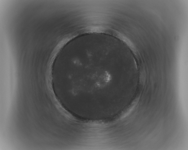 X0000111050673200907021620