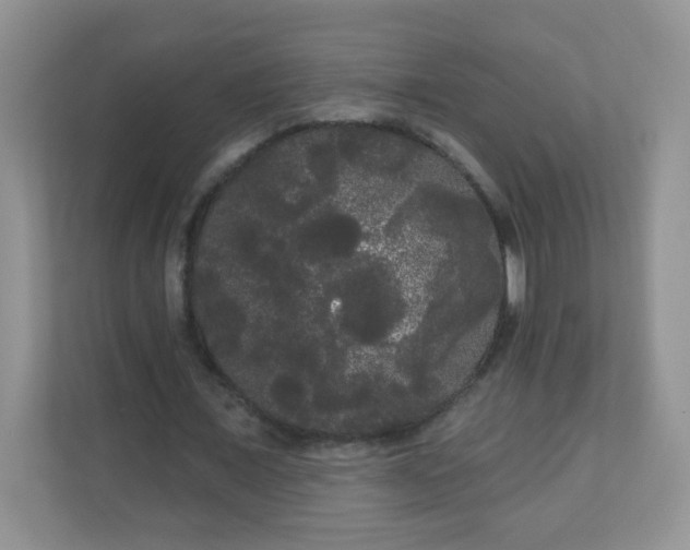 X0000111050675200907021620