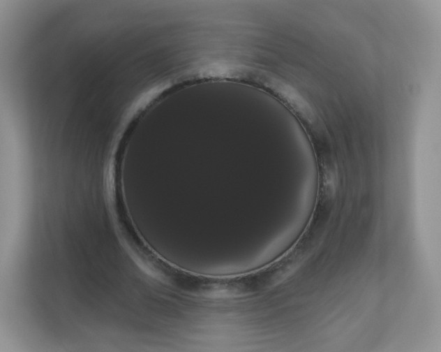 X0000111050678200907021620