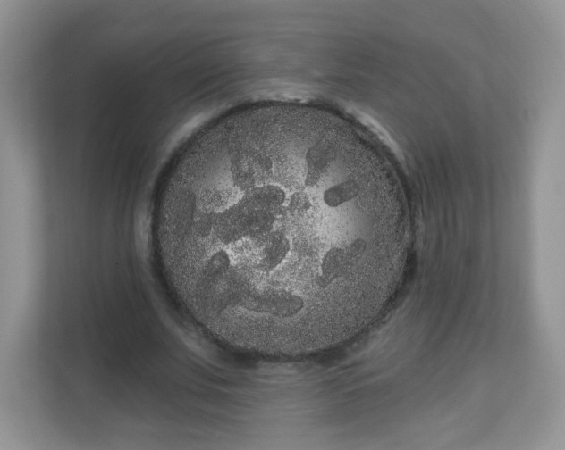 X0000111050679200907021620