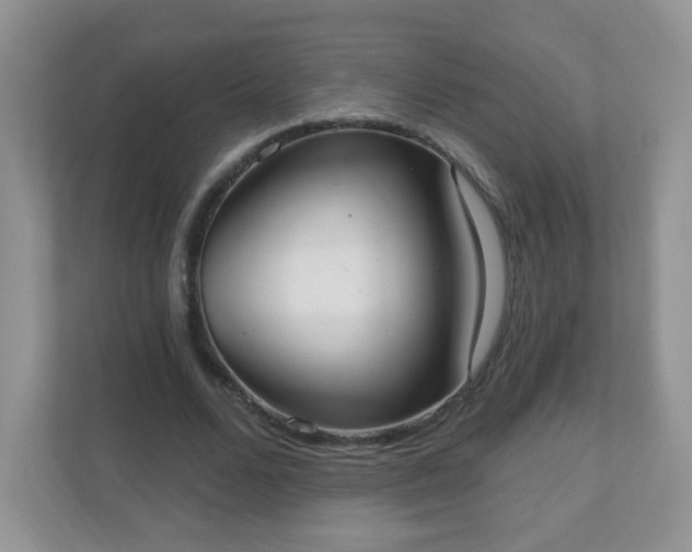 X0000111050680200907021620