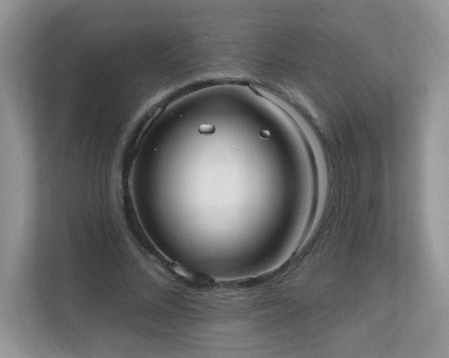 X0000111050684200907021620