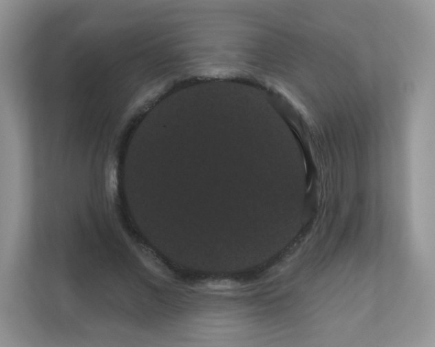 X0000111050685200907021620