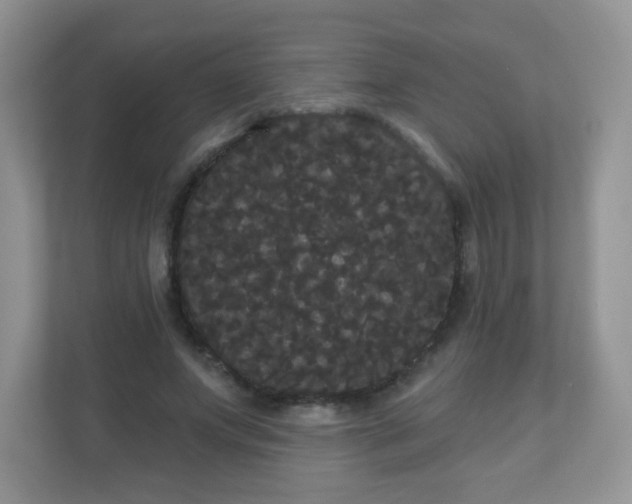 X0000111050687200907021620