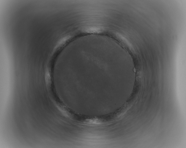 X0000111050688200907021620