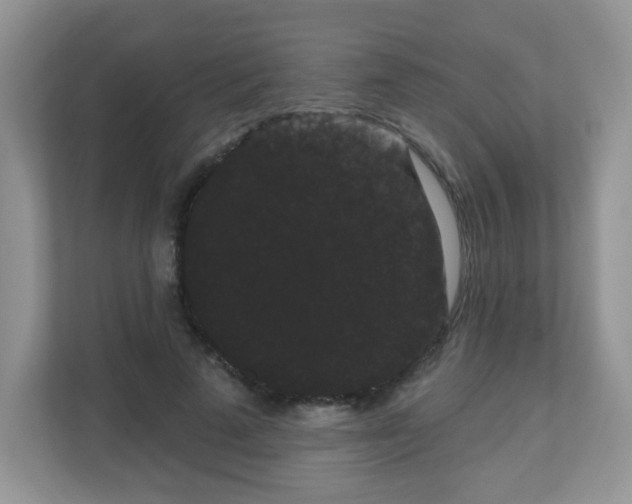 X0000111050689200907021620