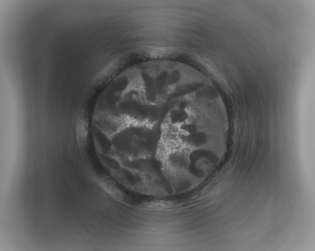 X0000111050691200907021620