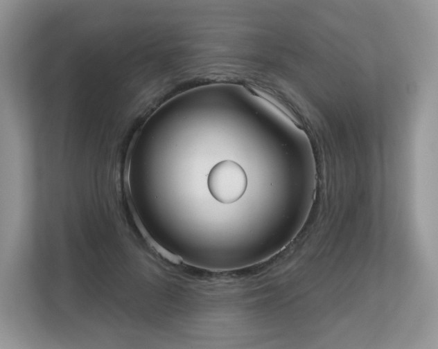 X0000111050696200907021620