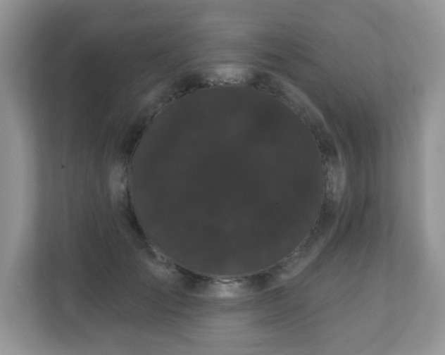 X0000111050701200907021620