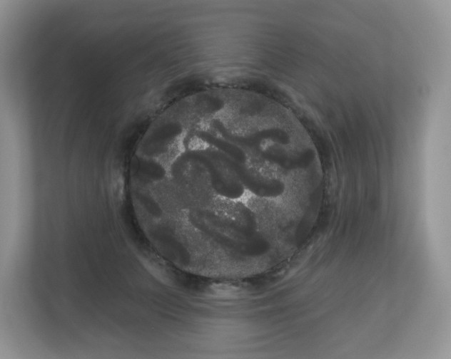 X0000111050703200907021620