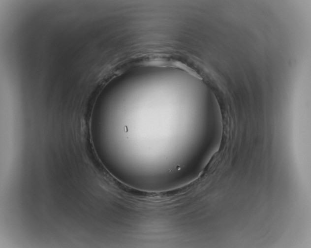 X0000111050704200907021620