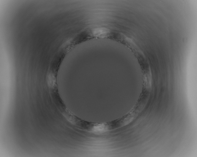 X0000111050705200907021620