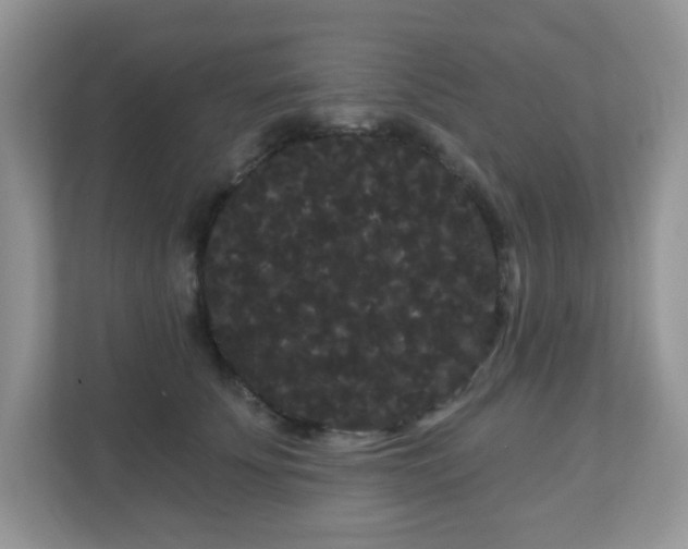 X0000111050707200907021620