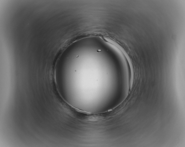 X0000111050708200907021620