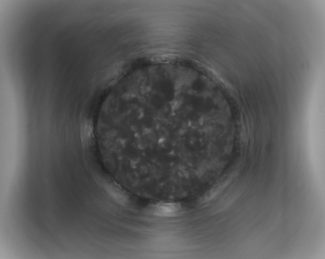 X0000111050711200907021619