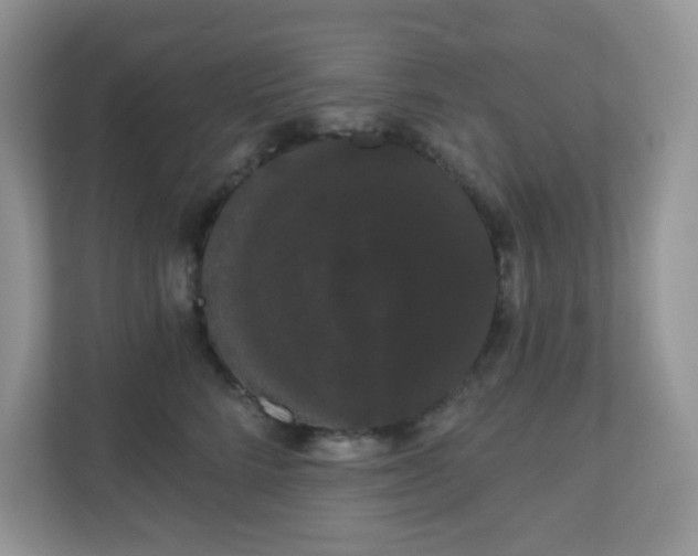 X0000111050712200907021619