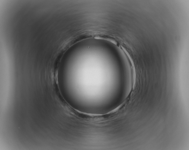 X0000111050716200907021619