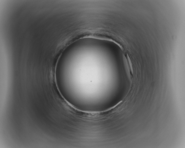 X0000111050720200907021619