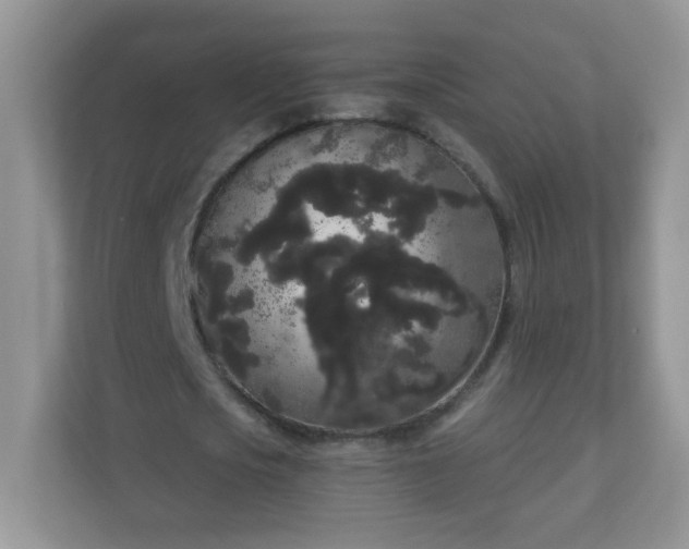 X0000111050721200907021619