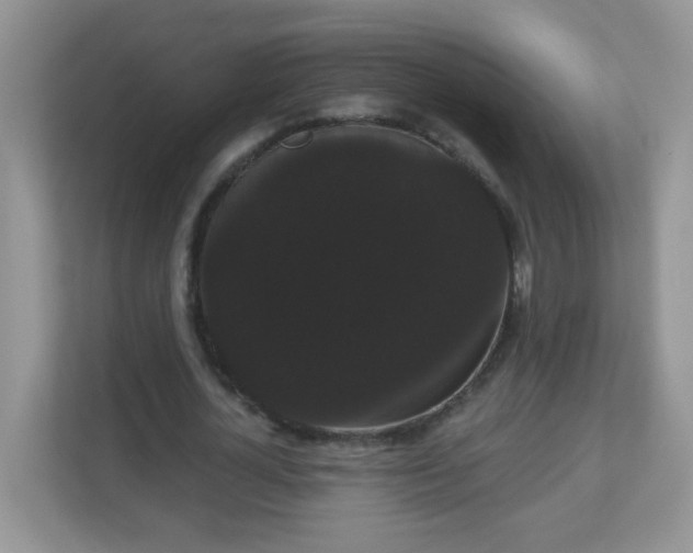 X0000111050724200907021619