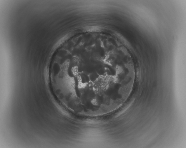 X0000111050725200907021619