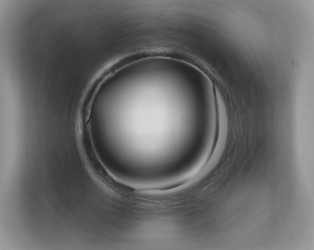 X0000111050726200907021619