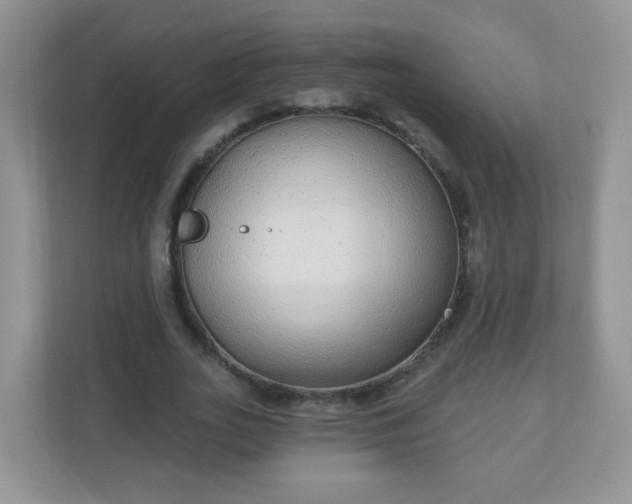 X0000111050727200907021619