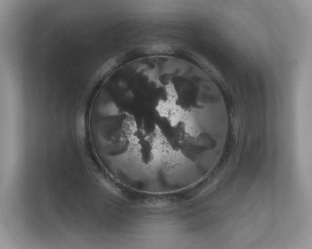 X0000111050729200907021619