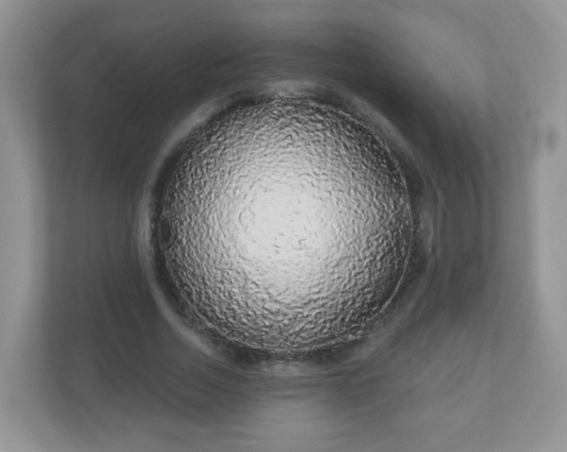 X0000111050730200907021619