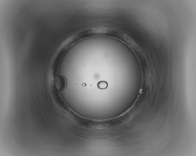 X0000111050731200907021619