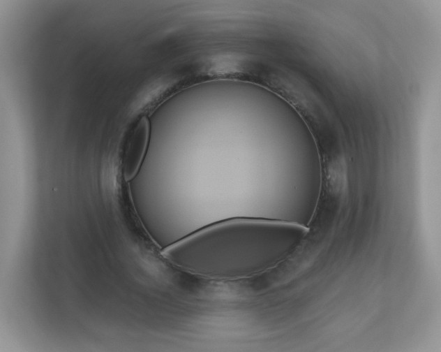 X0000111050732200907021619