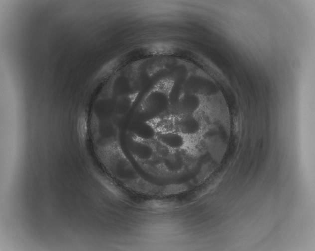 X0000111050733200907021619