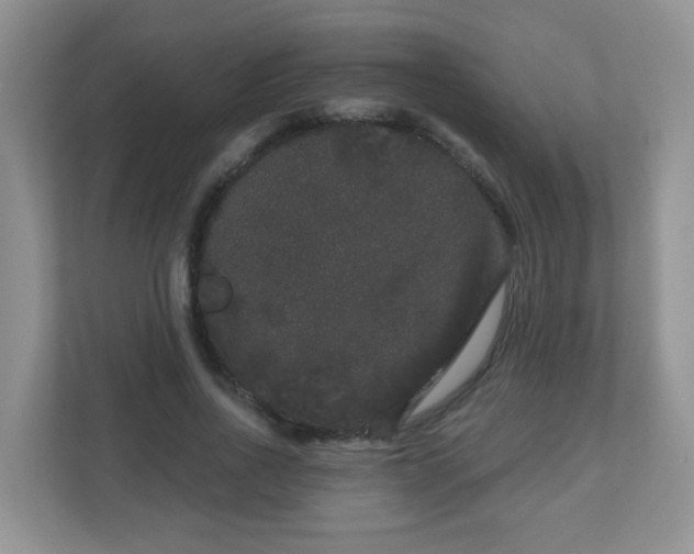 X0000111050734200907021619