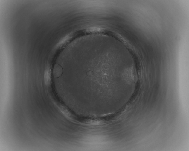 X0000111050735200907021619