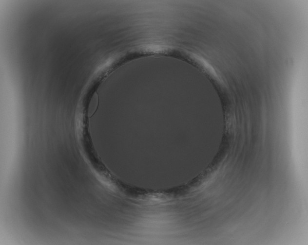 X0000111050736200907021619