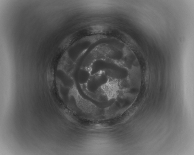 X0000111050737200907021619