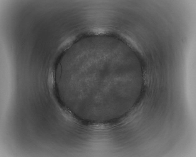 X0000111050740200907021619