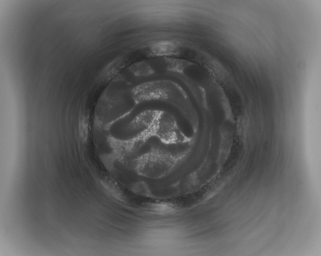 X0000111050741200907021619