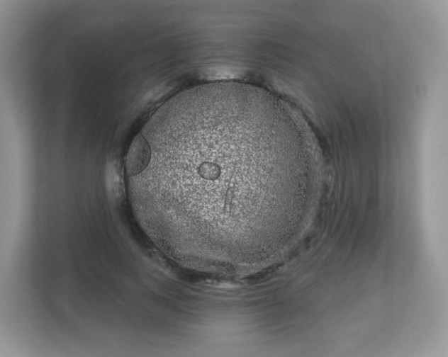 X0000111050743200907021619