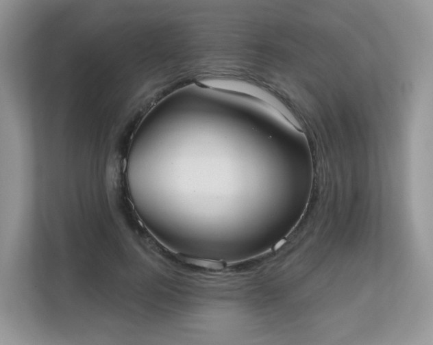 X0000111050744200907021619