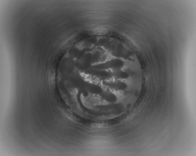 X0000111050745200907021619