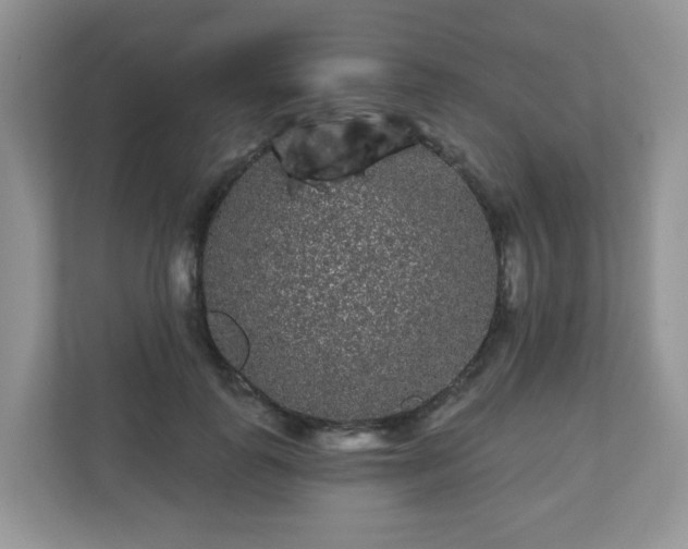 X0000111050747200907021619