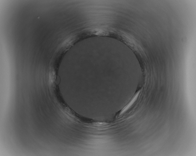 X0000111050748200907021619