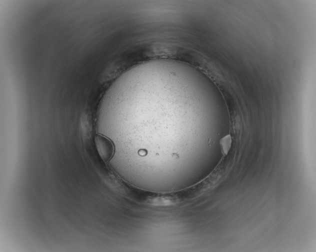 X0000111050751200907021619