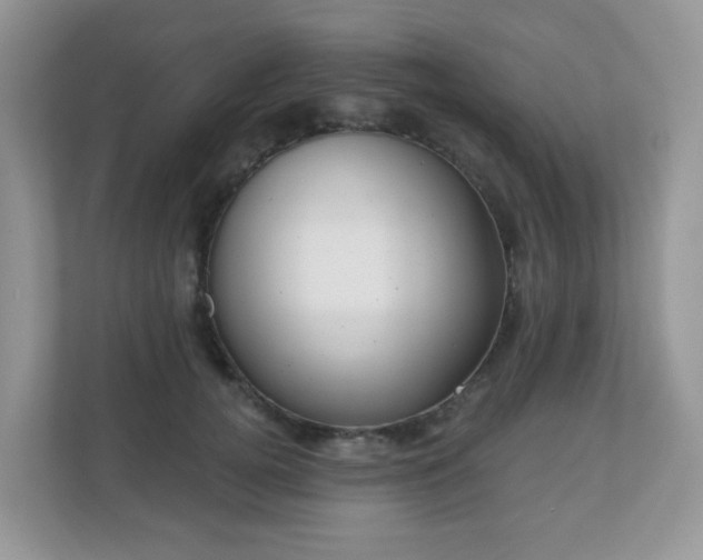 X0000111050752200907021619